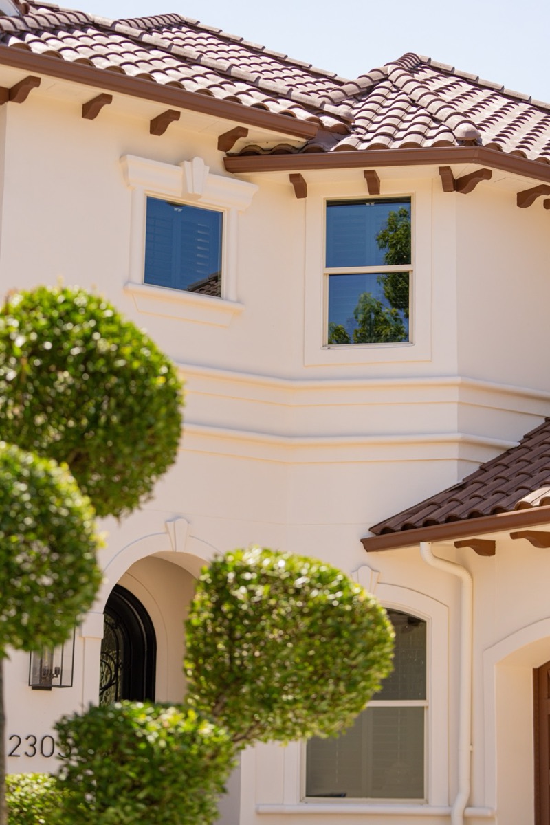 A clipped topiary beside a tall clean window.